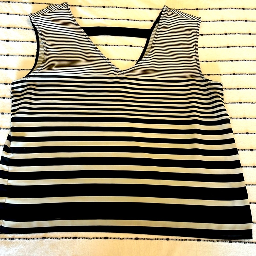 Top in good condition size Large from The Limited